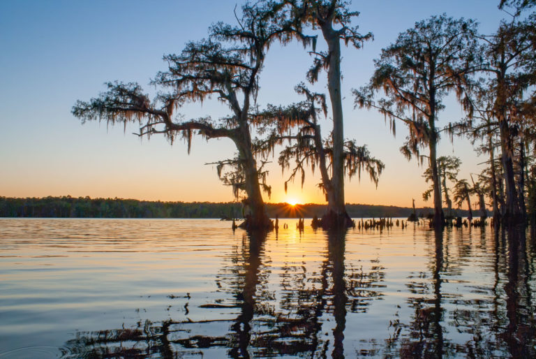 Tour Louisiana's Atchafalaya Basin Swamp | The Heart of Louisiana