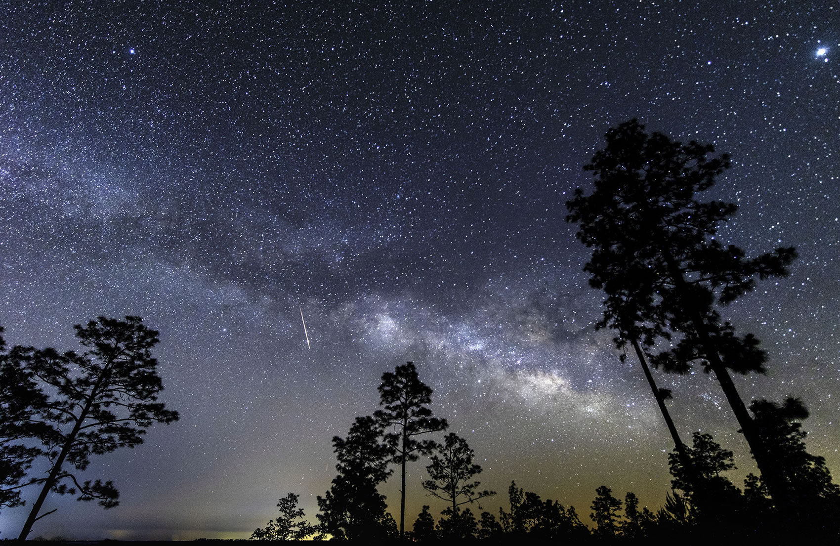 shooting star in the milky way over Louisiana’s Kisatchie National Forest