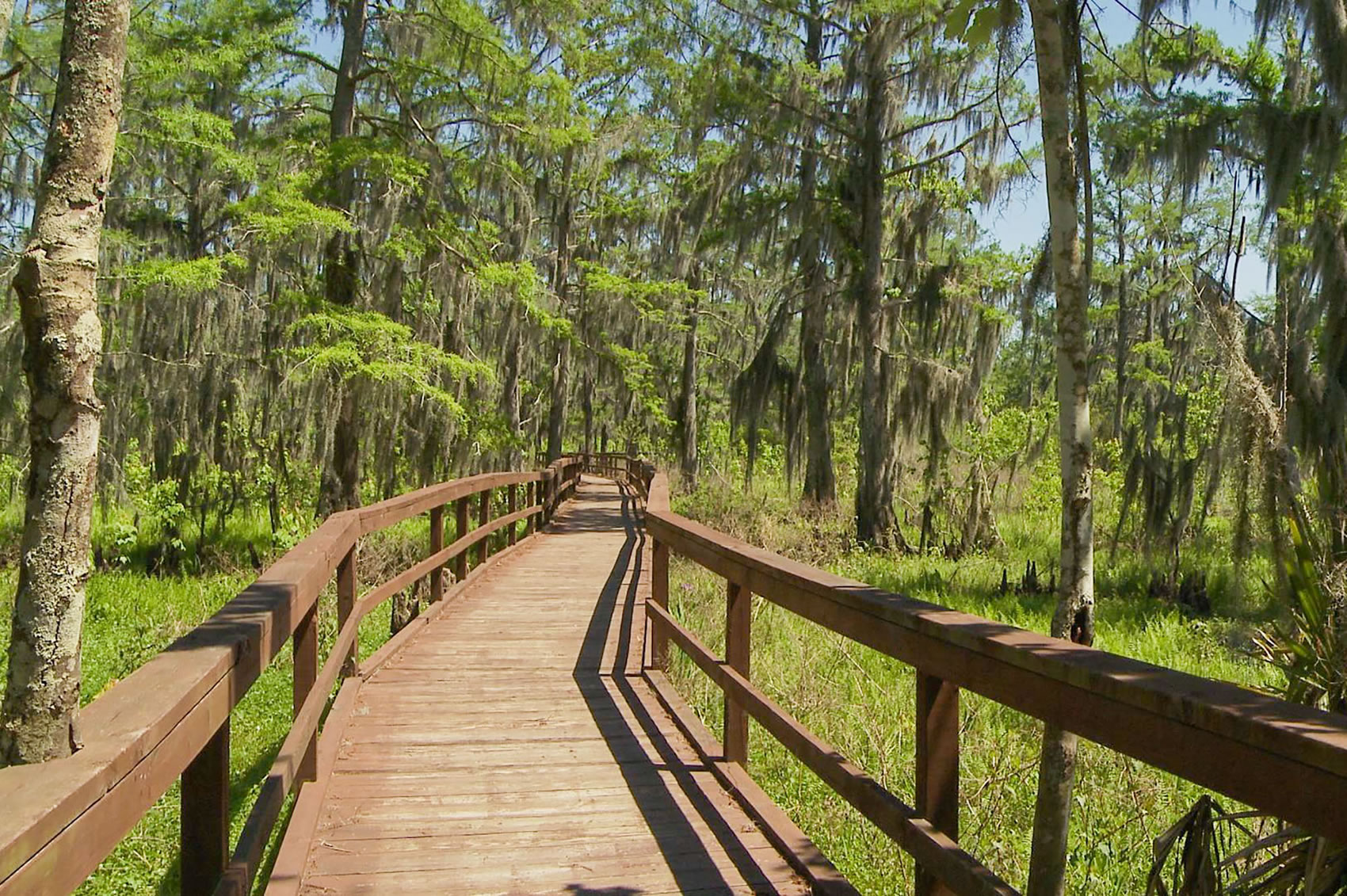 walkway at the Barataria Wetlands Nature Preserve