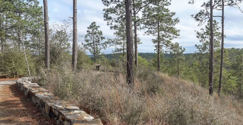 trail through the Kisatchie National Forest