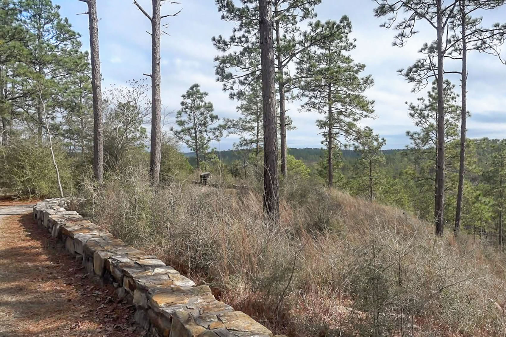 trail through the Kisatchie National Forest