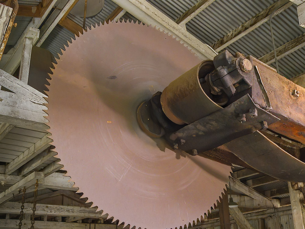 huge blade in the Longleaf Sawmill