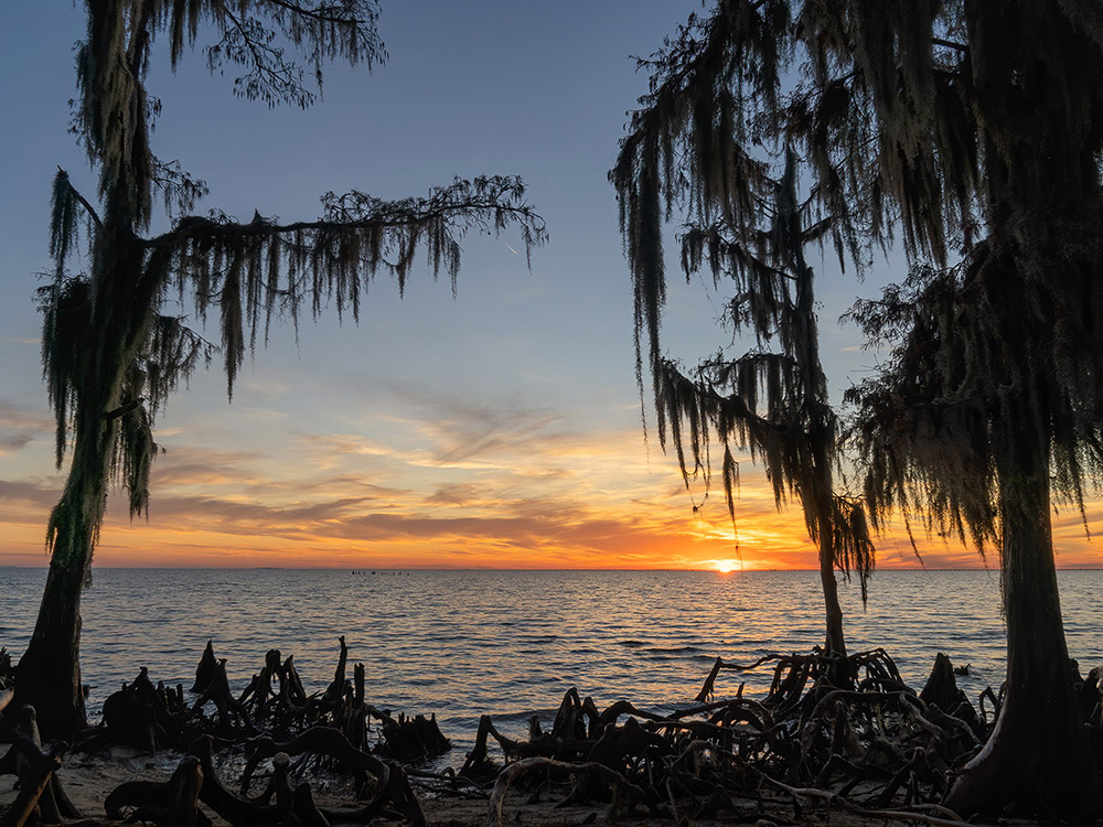 sunset on Lake Pontchartrain with cypress trees in foreground at Fountainbleau State Par