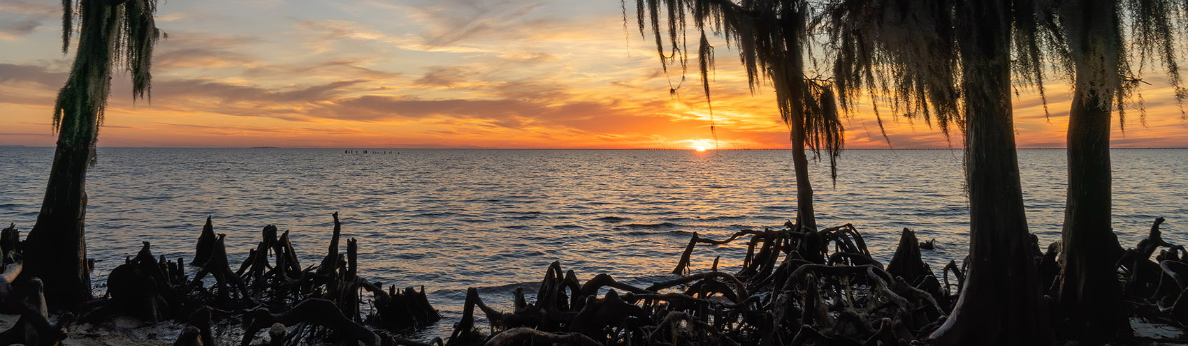 sunset over lake pontchartrain in Foutainbleau State Park with moss-covered cypress trees and bare roots along shoreline