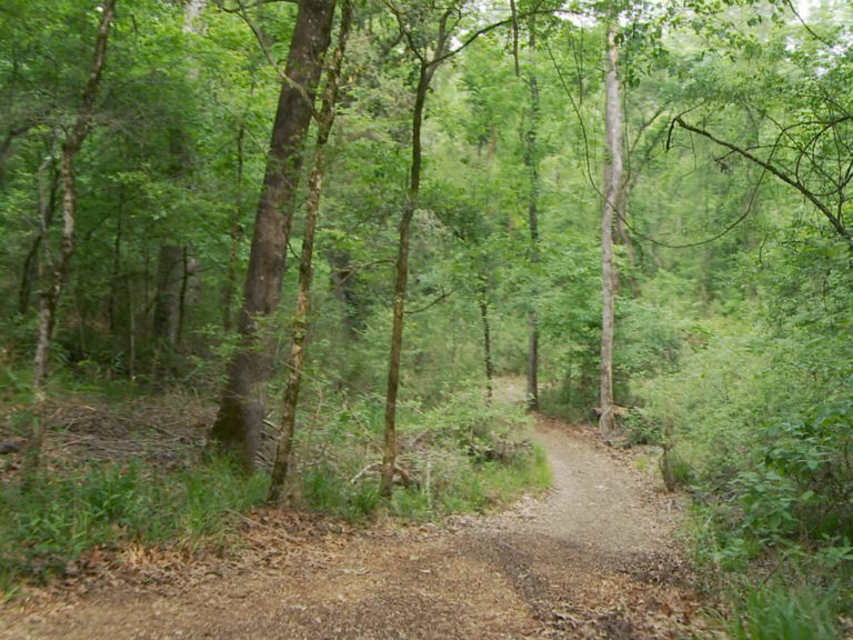 Chicot State Park for paddle and hiking adventure | The Heart of Louisiana