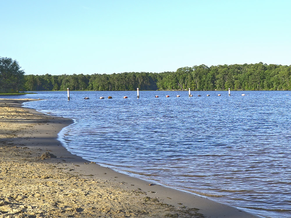 sandy beach and swimming area in Caney Lake at Jimmie Davis State Park