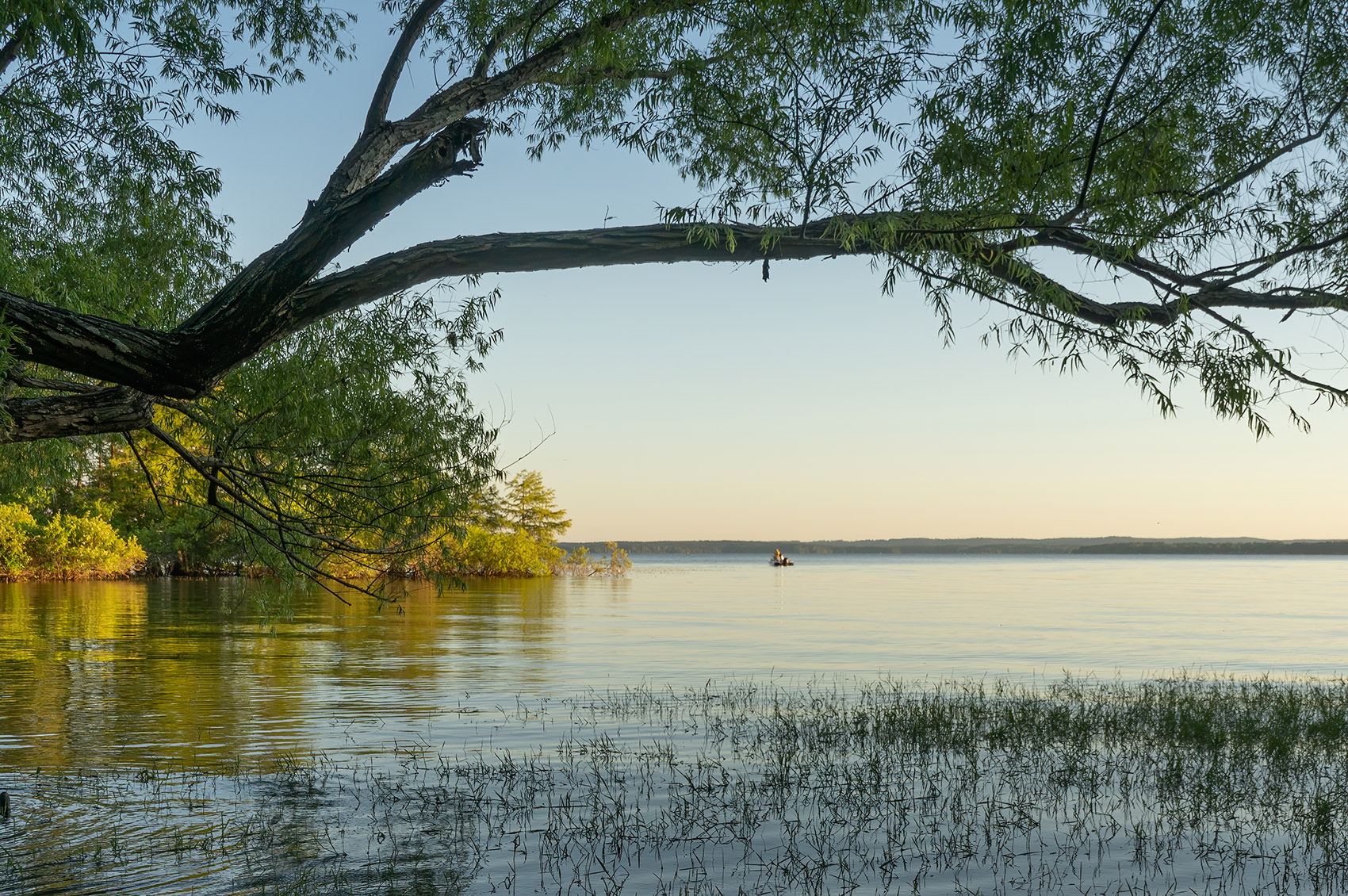 trees line shoreline of toledo bend reservoir with fishing boat in distance in late afternoon sunlight