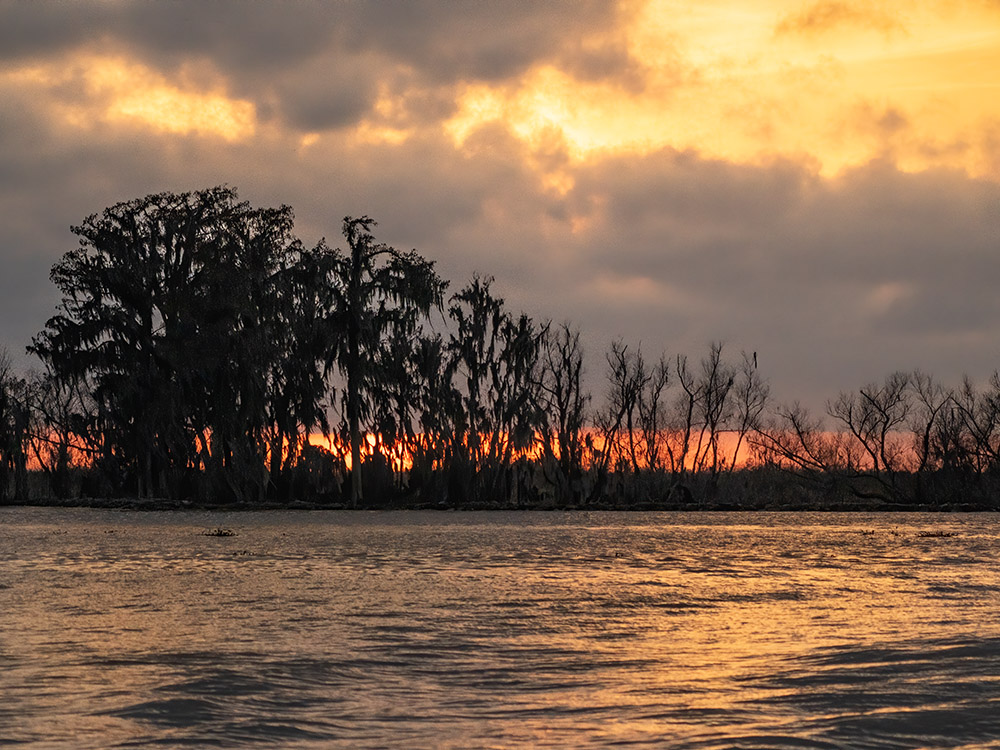 sunset behind cypress strees along canal in a south Louisiana swamp