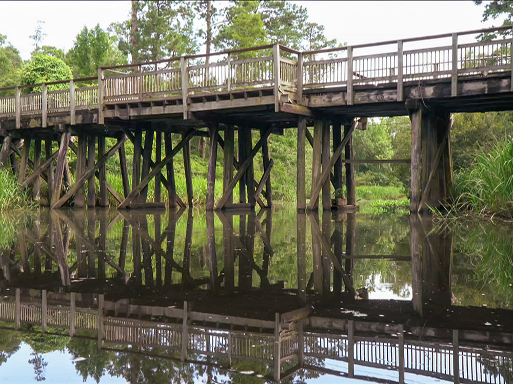 bridge and trestle crossing over scenic bayou in the woods