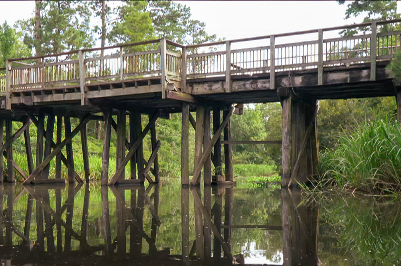 wooden trestle bridge of Tammany Trace bikeway crossing scenic Louisiana bayou