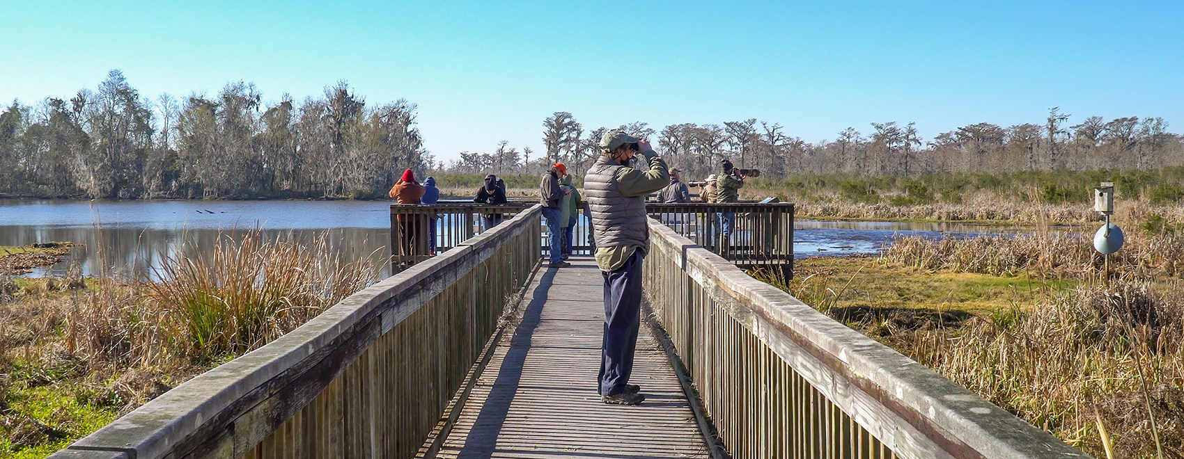 ;eople on boardwalk observation deck over Louisiana marsh for watching and photographing birds