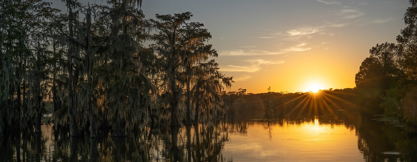 sun sets behind cypress trees at Lake Martin Louisiana nature photography