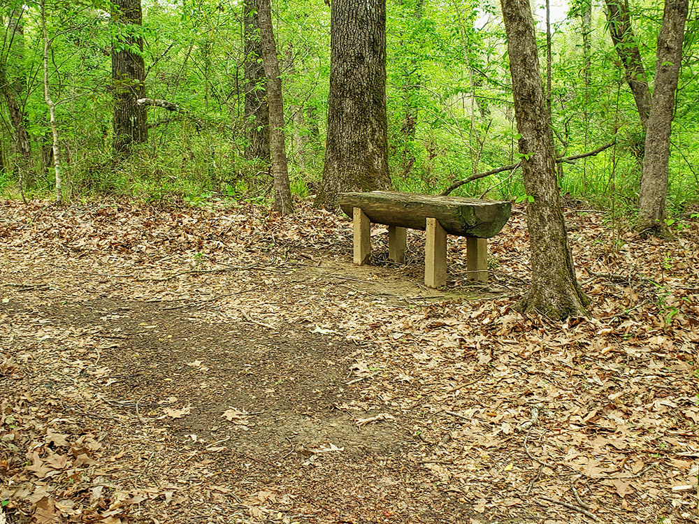 log bench in the woods along nature trail at Louisiana State Arboretum in Chicot State Park