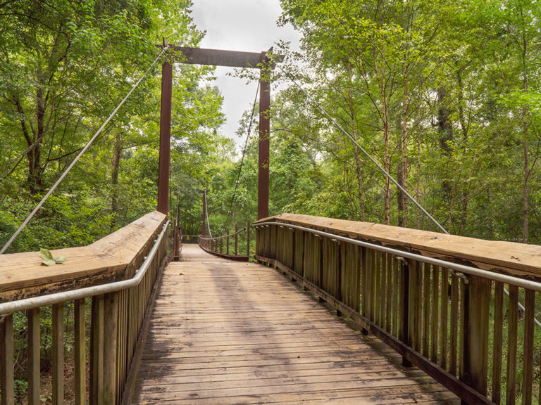 Tickfaw State Park hiking and nature trails | The Heart of Louisiana