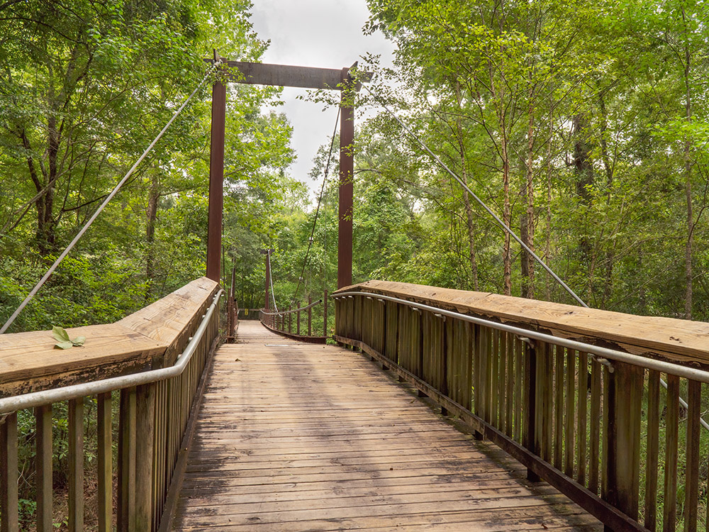 suspension bridge crosses the river in Tickfaw State Park Louisiana