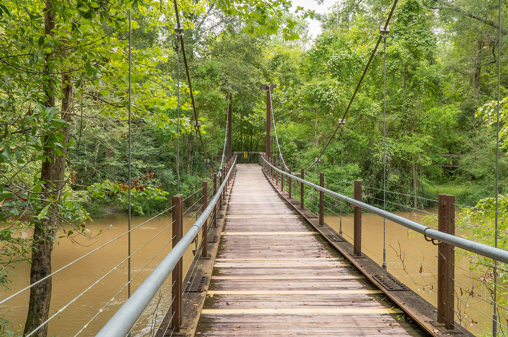 suspention bridge in forest over river in Tickfaw State Park