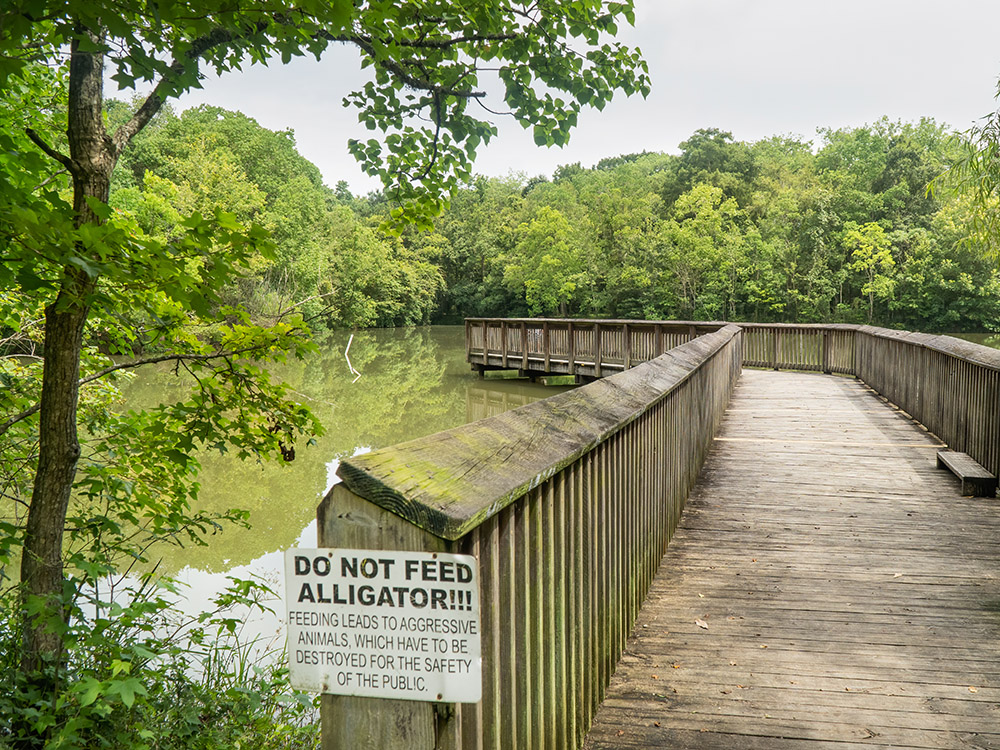 fishing pier over pond with sign don't feed the alligators in Tickfaw State Park Louisiana