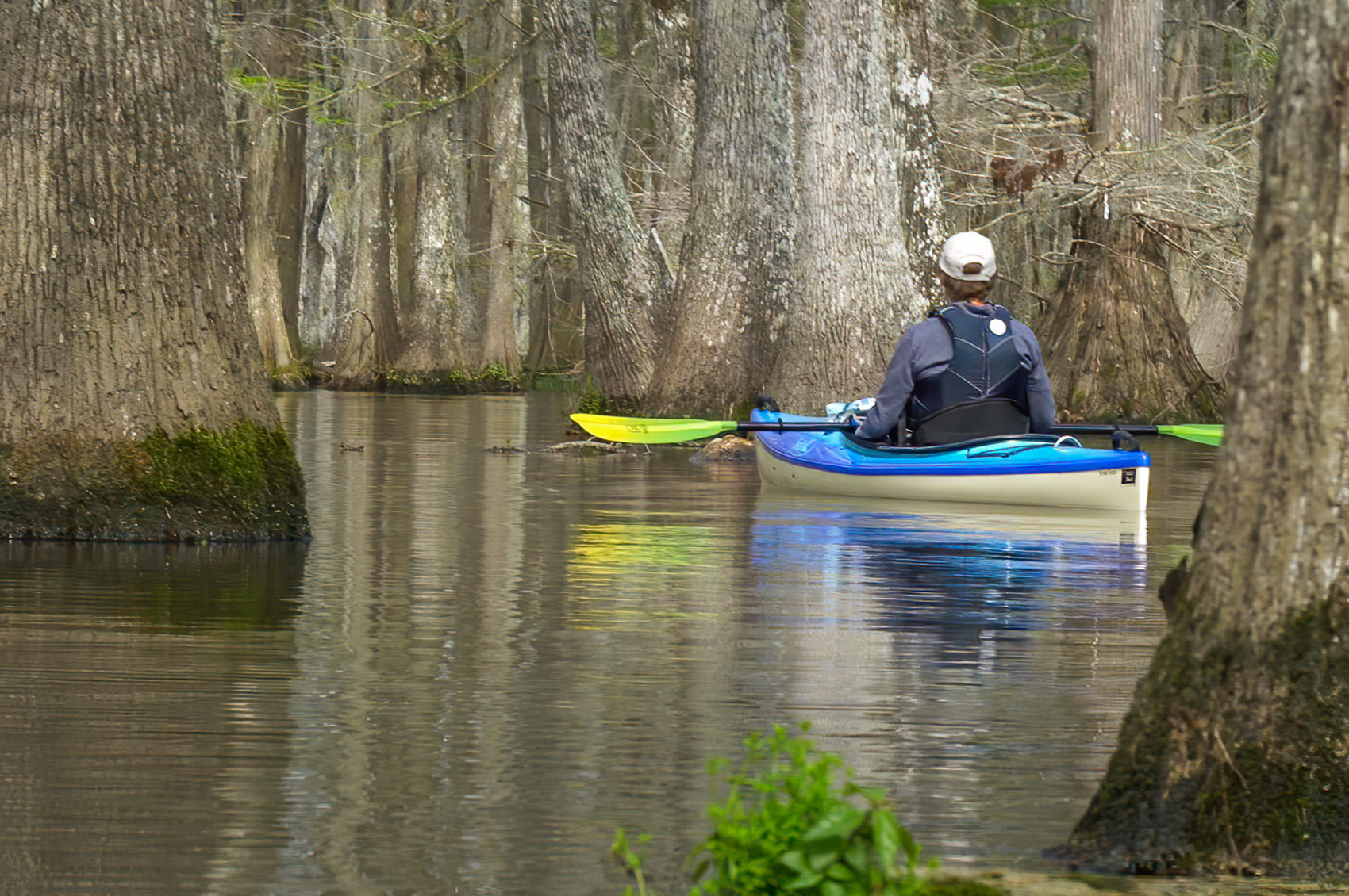 Kayak in tree covered Lake Chicot State Park Louisiana