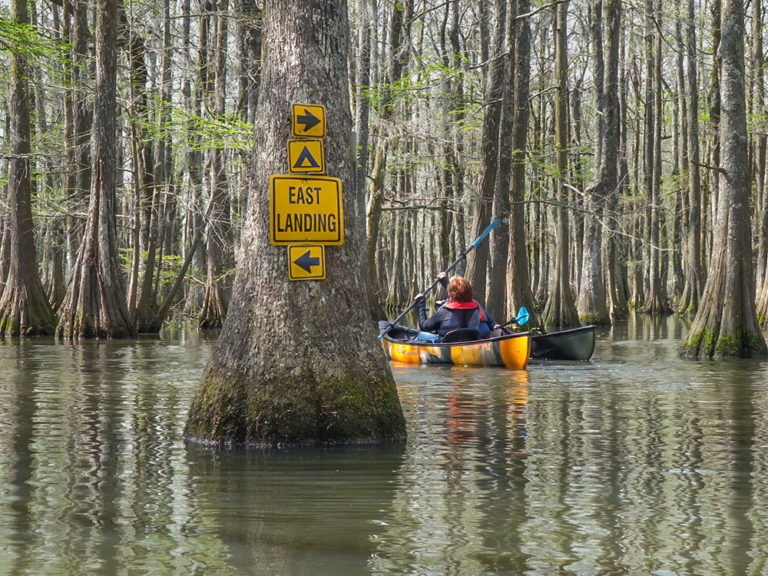 Lake Chicot Loop Trail at Harvey Worthy blog