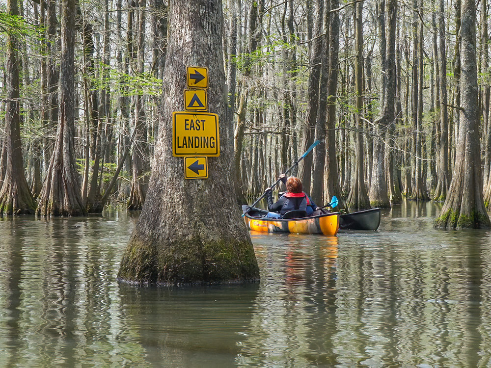 yellow signs and arrows mark the canoe trail at Chicot State Park Louisiana