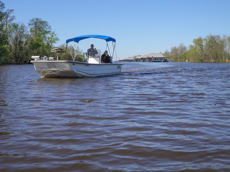 Louisiana Bayou Segnette State Park: Where the Bayou Meets the Beach