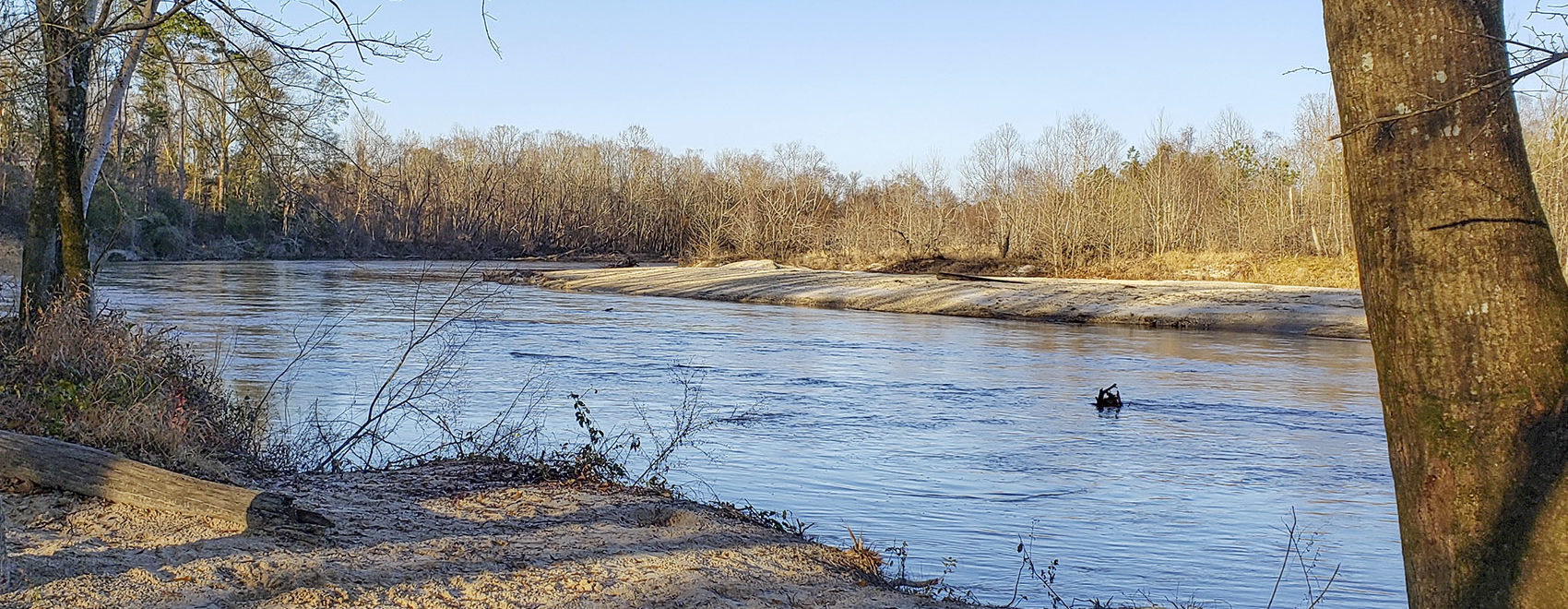 Bogue Chitto State Park and river with trees