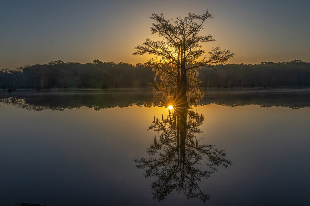 sunrise behind cypress tree sun reflection in lake