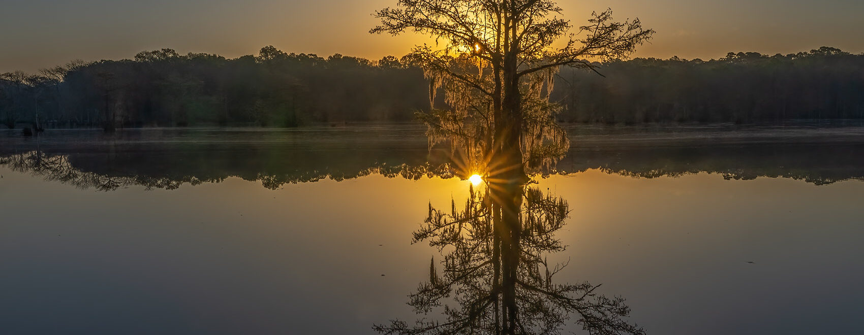 sunrise behind cypress tree sun reflection in lake