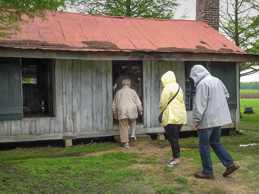 tourists step inside cabin where they hear slave narratives at Frogmore Plantation Louisiana