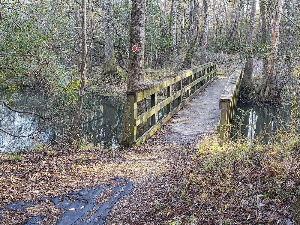 wooden bridge crosses small creek in Louisiana woods