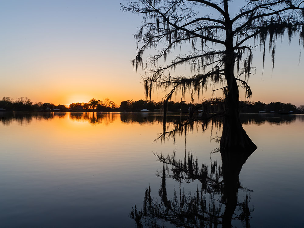 sunset over still water of Lake Bruin State Park with cypress tree silhouette and reflection