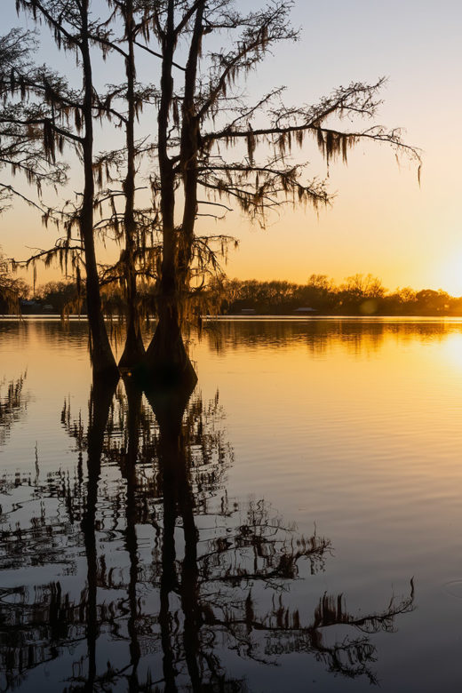 sunset over lake with cypress trees at Lake Bruin Louisiana