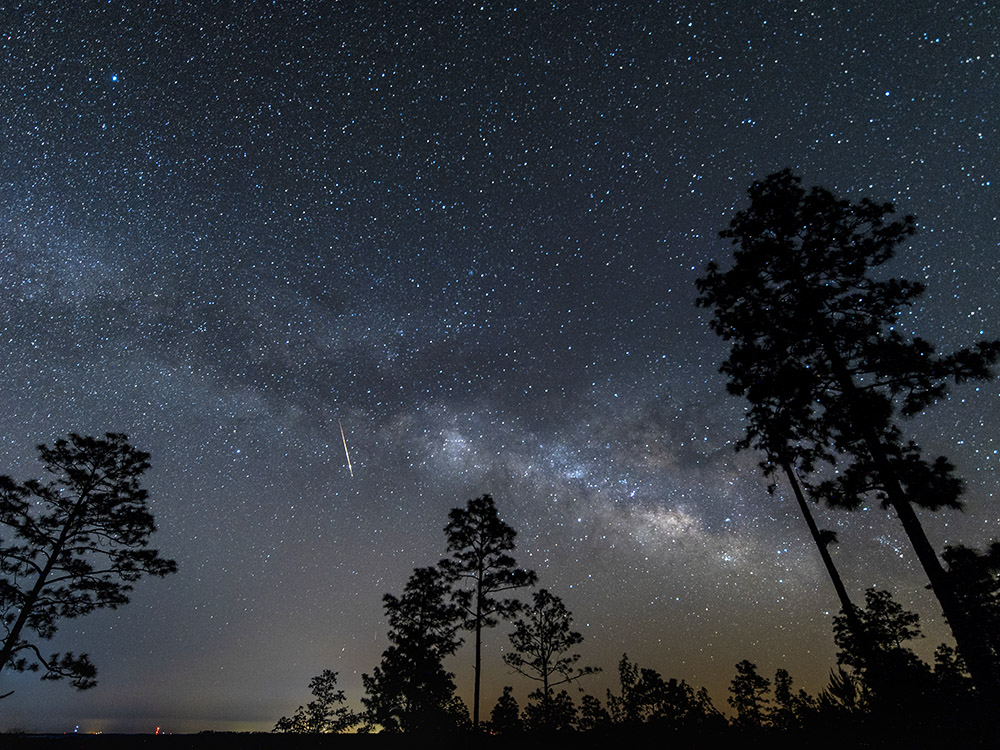 Milky Way and shooting star in Kisatchie National Forest Louisiana