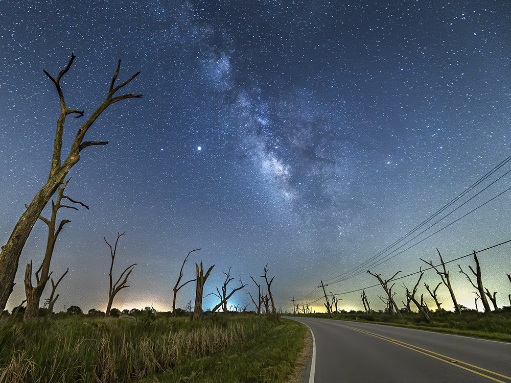 milky way above dead trees along roadway