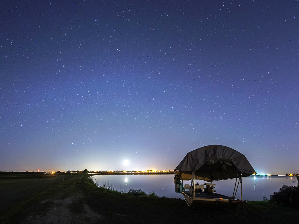 star filled sky over crawfish pond near Rayne Louisiana