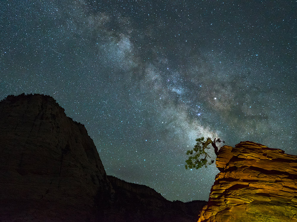 Milky way and bent tree in Zion National Park Utan