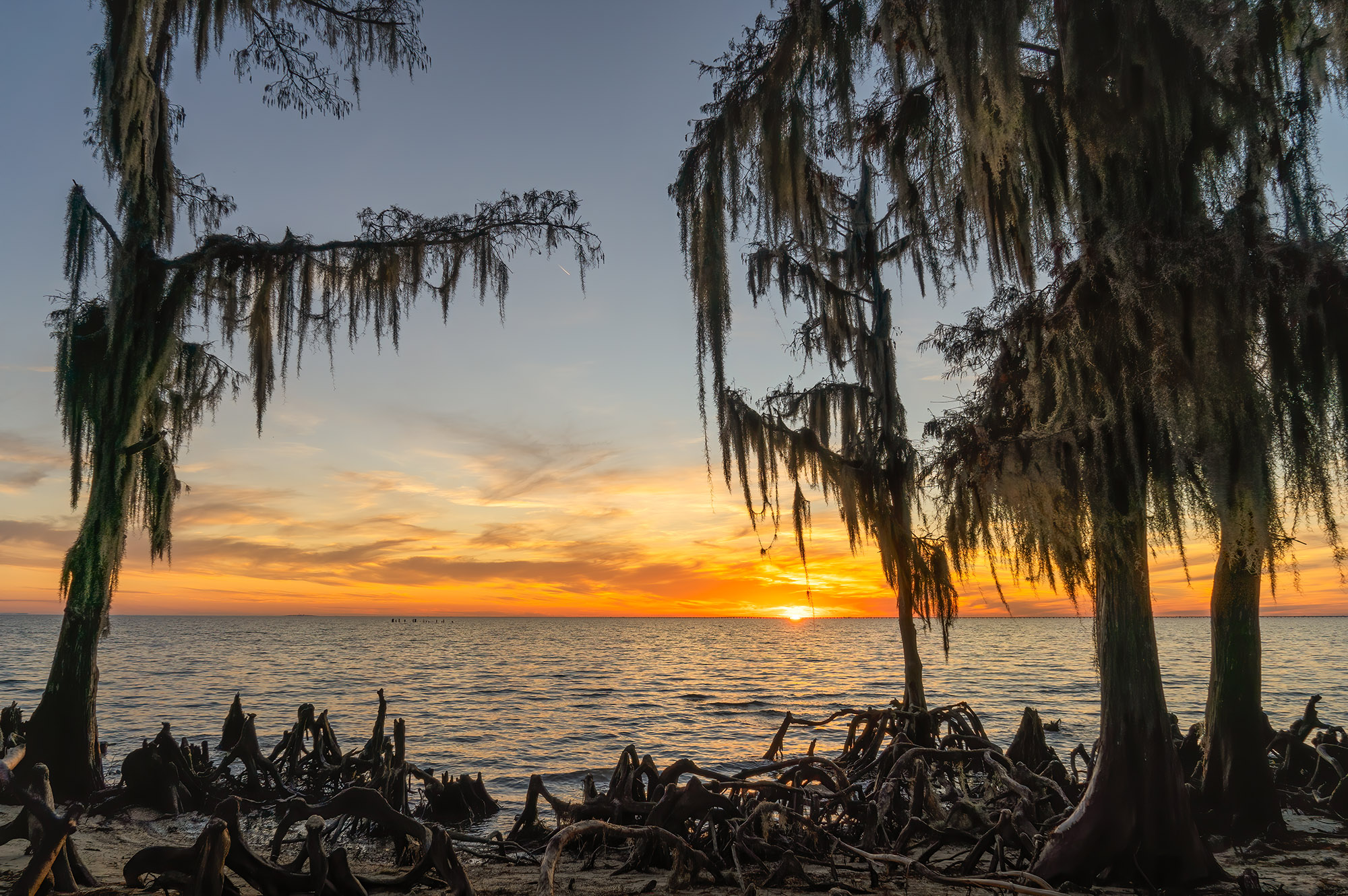 sunset over Lake Pontchartrain with moss covered cypress trees on shoreline