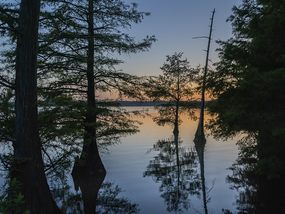 sunset afterglow through cypress trees at Lake D'Arbonne featured in Louisiana nature photography
