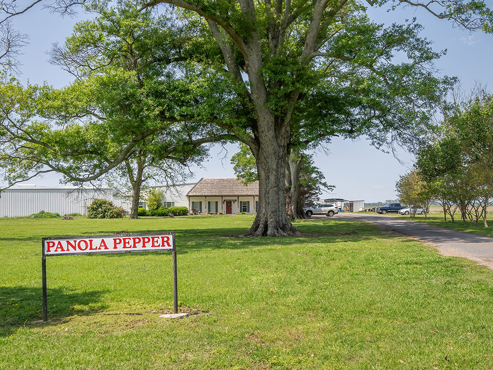 Panola Pepper sign in front of office and manufacturing plant with trees