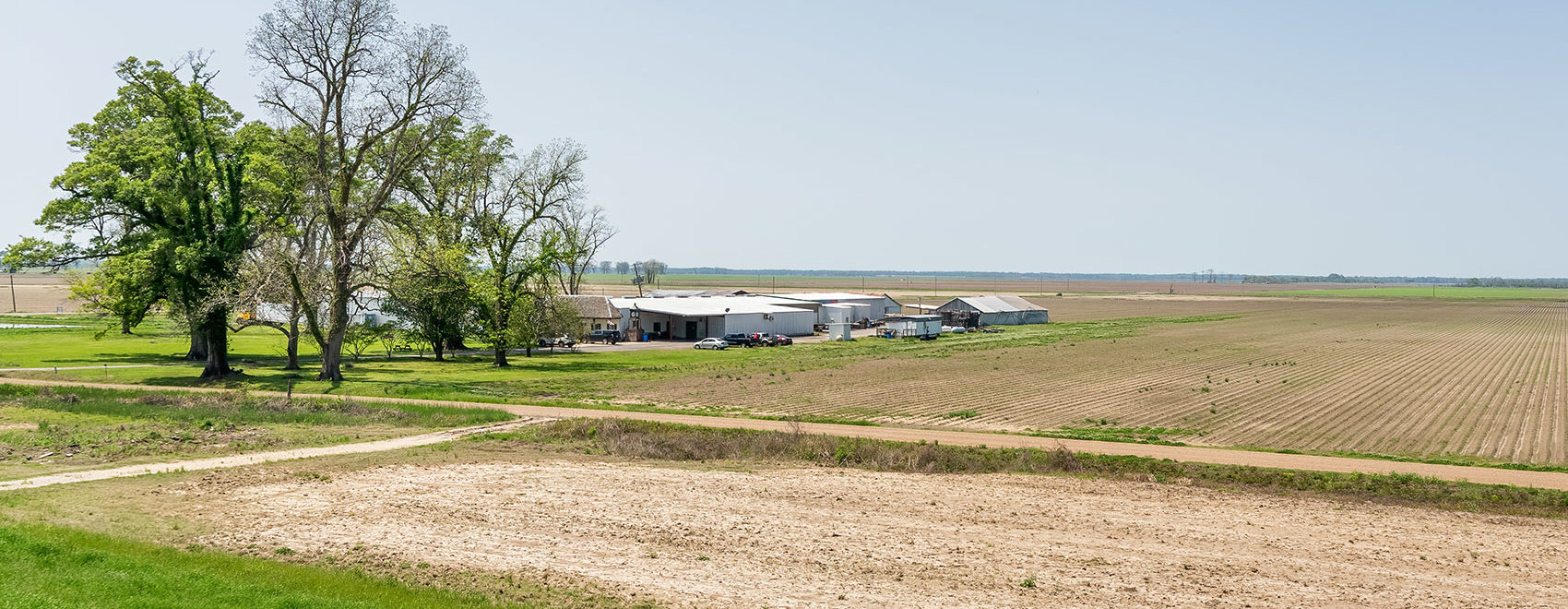 Panola manufacturing plant with trees and flat farmland Louisiana
