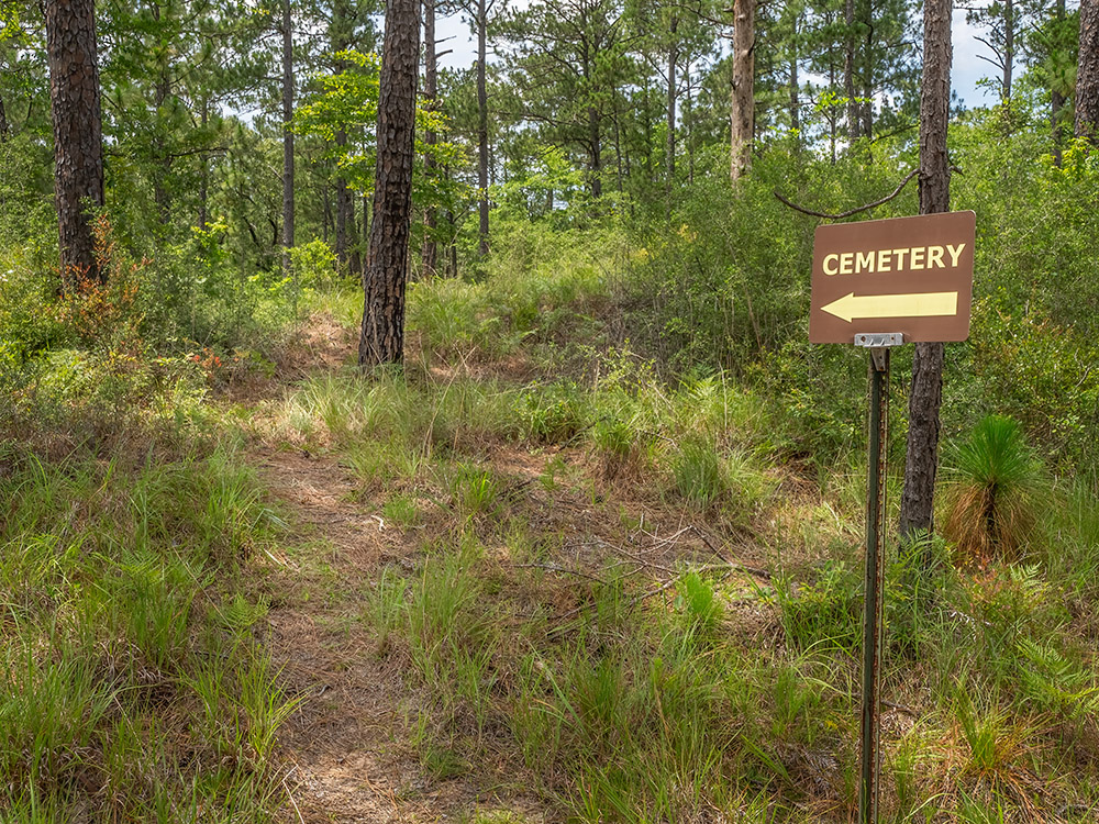 cemetery sign with arrow pointing to grave in the forest of last buffalo hunter in Louisiana