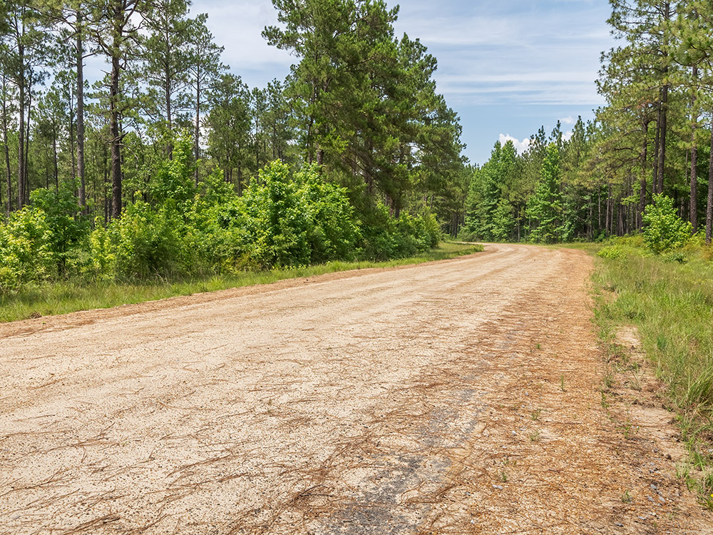 gravel road curve through forest in Louisiana