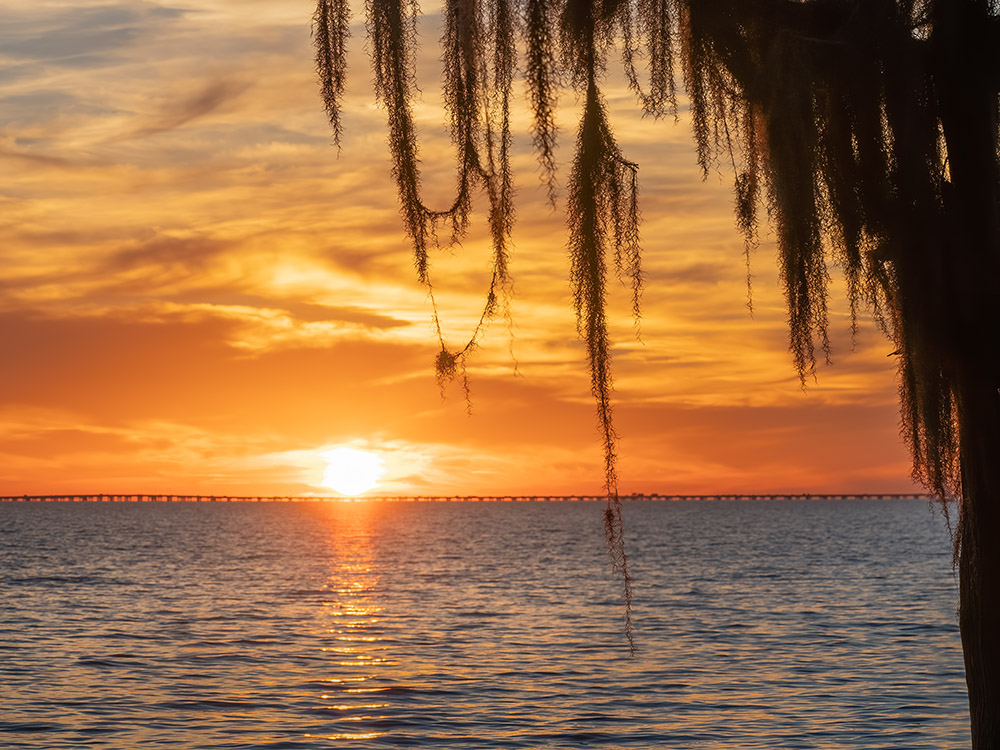 orange sky above lake as sunsets behind Lake Pontchartrain Causeway bridge with moss in foreground