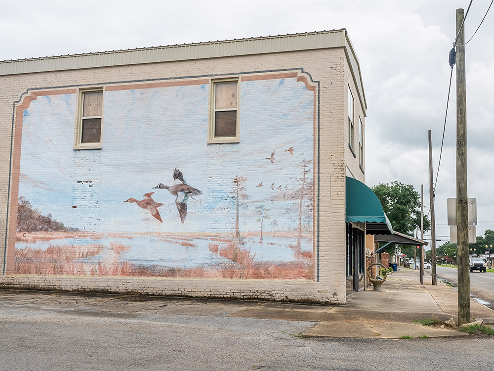 duck mural painted on 2 story building in Gueydon Louisiana