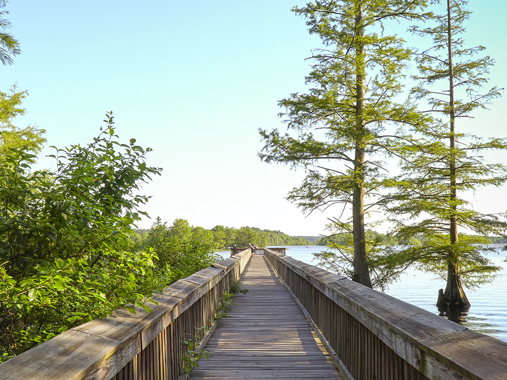 long fising pier through wooded shoreline extends far over water of Lake D'arbonne