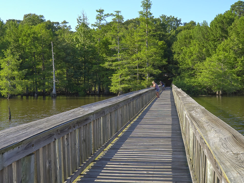 fishing pier over lake looking toward trees on shoreline at Lake D'Arbonne