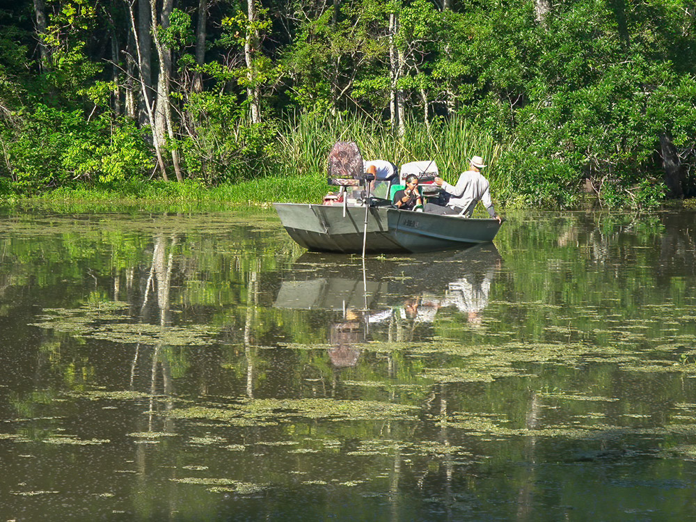 small fishing boat in a tree-lined bayou