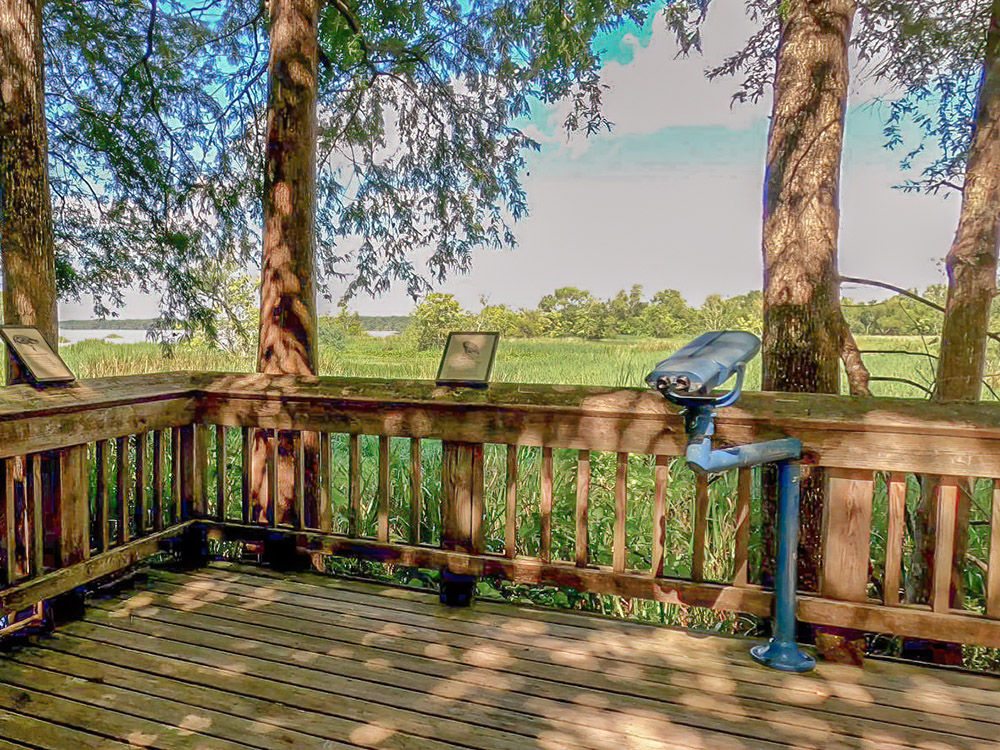 boardwalk and observation deck in swamp at Lake Fausse Pointe