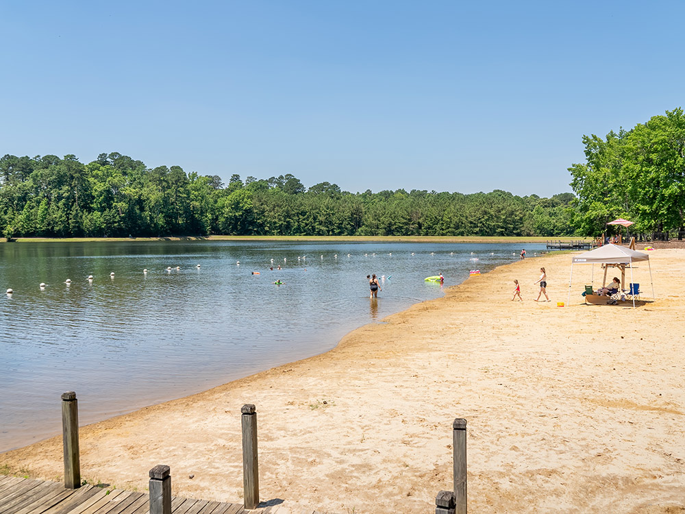 swimmer at sand cover beach on lake surrounded by trees