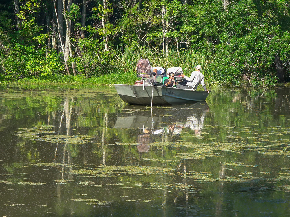 fishermen in boat fishing in bayou waterway